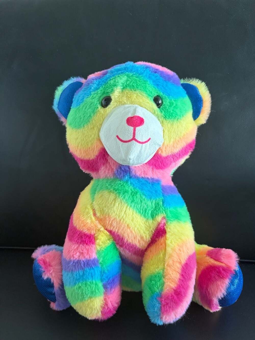 Rainbow Stripe Plush Bear Like New